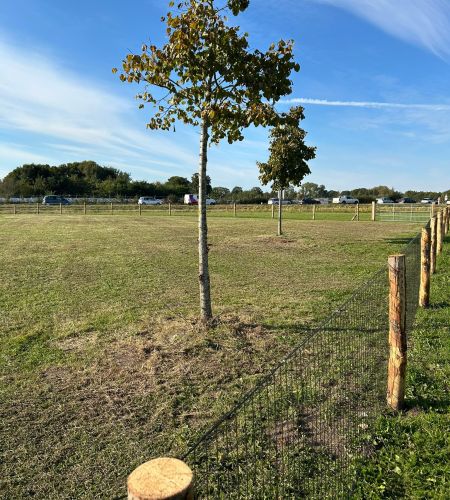 hondenspeelveld Raalte